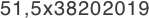51,5x38202019