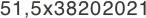 51,5x38202021