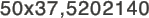 50x37,5202140