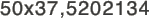 50x37,5202134