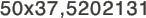 50x37,5202131