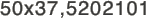 50x37,5202101