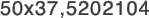 50x37,5202104