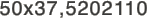 50x37,5202110