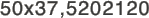 50x37,5202120