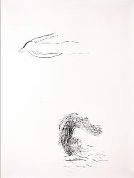 x375202102