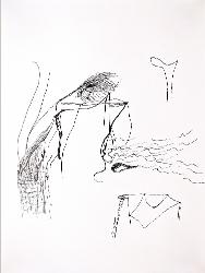 x375202112