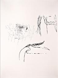 x375202114