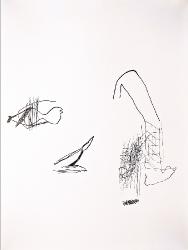 x375202116