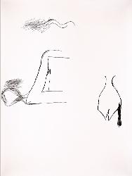 x375202126