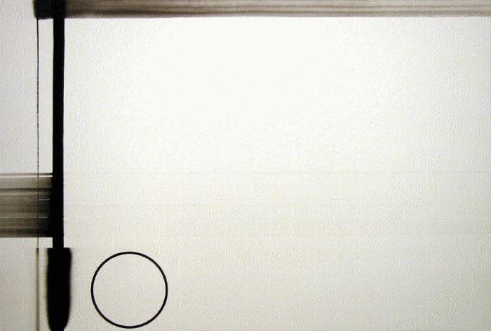 michael haas, austrian artist, born